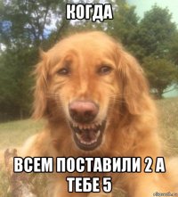 когда всем поставили 2 а тебе 5