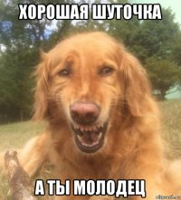 хорошая шуточка а ты молодец