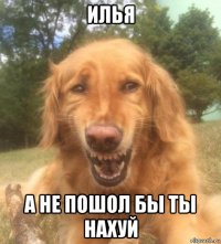 илья а не пошол бы ты нахуй