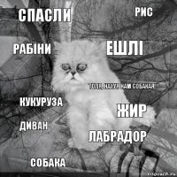 спасли жир Ешлі собака кукуруза рис лабрадор Рабіни диван ТОля, нахуя нам собакая!!!