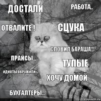 достали Тупые Сцука Бухгалтеры... прайсы... работа.. Хочу домой отвалите ! Идиоты окружили словил бараша