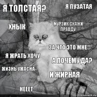 Я толстая? А почему да? Мурзик скажи правду Нееет Я жрать хочу Я пузатая И жирная Хнык Жизнь ужасна За что это мне