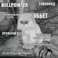 Nullpointer Обязательно вылетит на проде Убьёт Всё не предусмотришь Проверки везде говнокод вылетит при проверке на null никому нельзя верить  