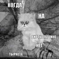 когда виртуальщине на тырнета   нет   