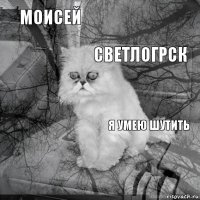 Моисей я умею шутить светлогрск       