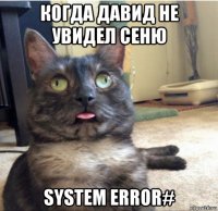 когда давид не увидел сеню system error#