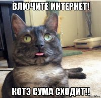 влючите интернет! котэ сума сходит!!