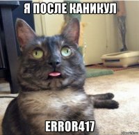 я после каникул error417