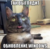 так выглядит обновление windows