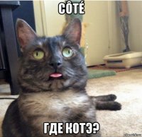 côté где котэ?