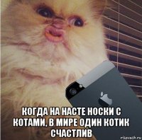  когда на насте носки с котами, в мире один котик счастлив