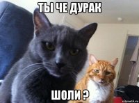 ты че дурак шоли ?