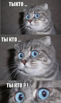 тыкто ... ты кто ... ты кто ? !