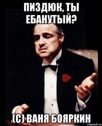 пиздюк, ты ебанутый? (с) ваня бояркин