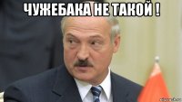 чужебака не такой ! 