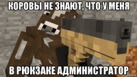 коровы не знают, что у меня в рюкзаке администратор