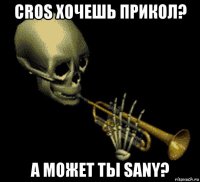 cros хочешь прикол? а может ты sany?