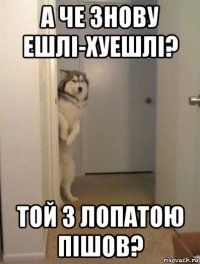 а че знову ешлі-хуешлі? той з лопатою пішов?