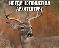 когда не пошел на архитектуру 