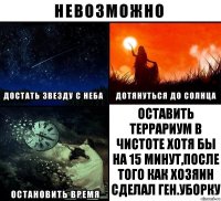 оставить террариум в чистоте хотя бы на 15 минут,после того как хозяин сделал ген.уборку