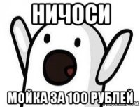 ничоси мойка за 100 рублей