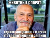 животные спорят. однако, для данного форума это вполне типичное зрелище.
