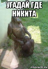 угадай где никита 