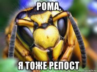 рома, я тоже репост