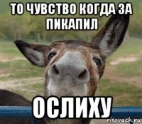 то чувство когда за пикапил ослиху