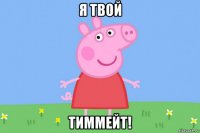 я твой тиммейт!