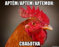 артём/артем/артемон: сваботка