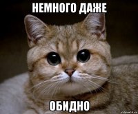 немного даже обидно