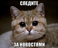 следите за новостями