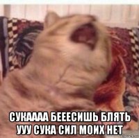  сукаааа бееесишь блять ууу сука сил моих нет