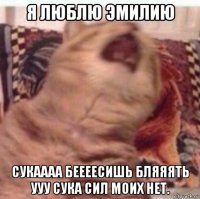 я люблю эмилию сукаааа беееесишь бляяять ууу сука сил моих нет.