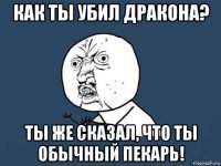 как ты убил дракона? ты же сказал, что ты обычный пекарь!