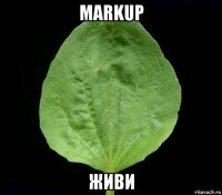 markup живи