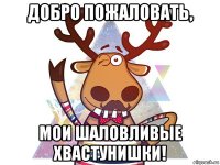 добро пожаловать, мои шаловливые хвастунишки!