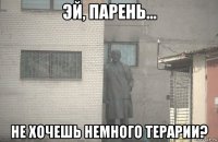  не хочешь немного терарии?