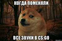 когда поменяли все звуки в cs:go