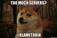 too much servers? #blametorin