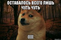 оставалось всего лишь чуть чуть ((((