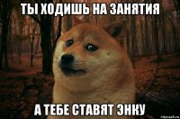 ты ходишь на занятия а тебе ставят энку