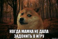  когда мамка не дала задонить в игру