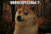 вввоскресенье ?.. 