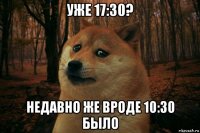 уже 17:30? недавно же вроде 10:30 было