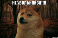 не увольняйся!!!! 