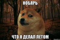 нобярь что я делал летом