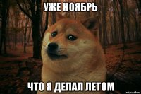 уже ноябрь что я делал летом