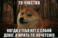 то чувство когда у тебя нет с собой денег, а жрать то, хочется(9